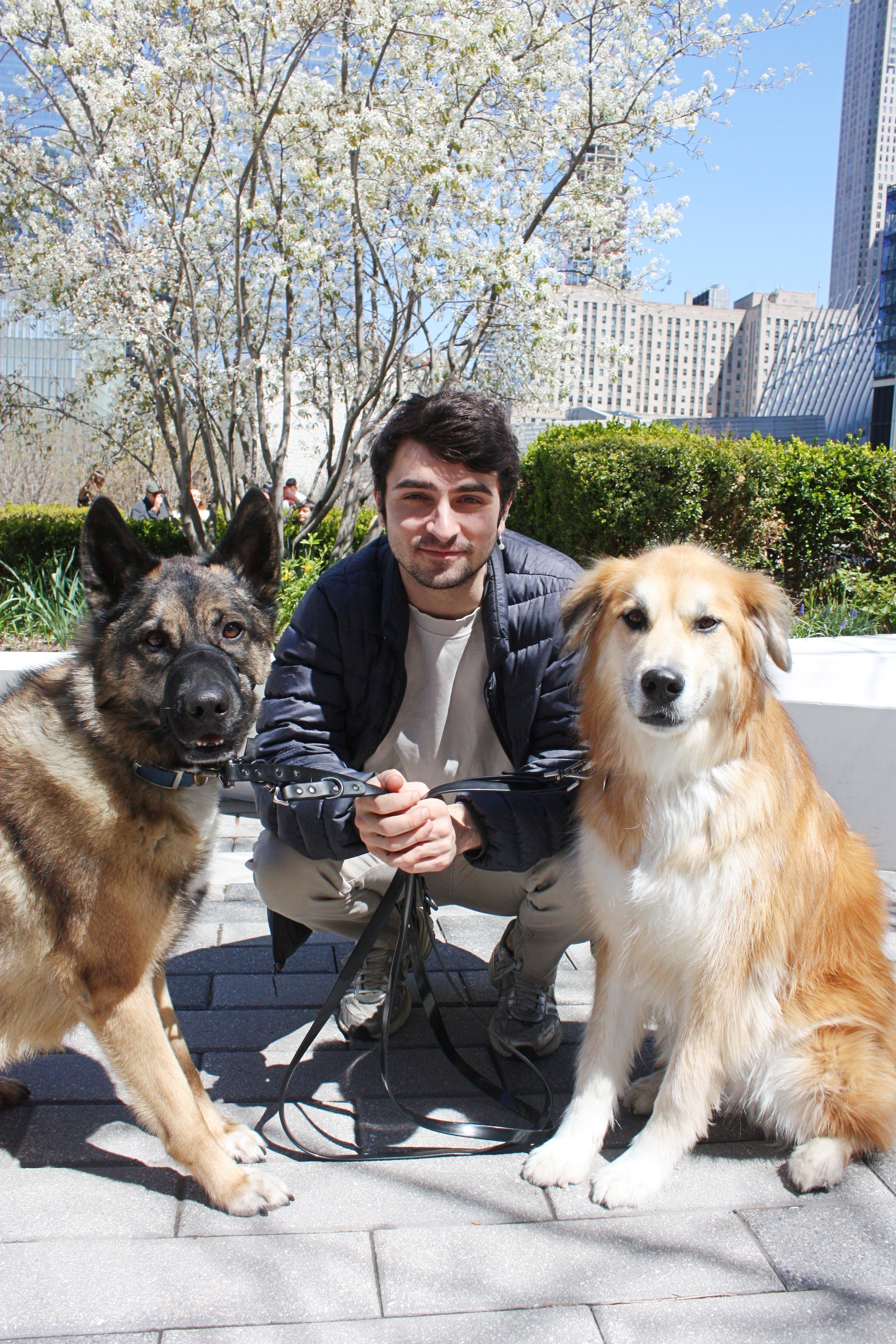 Seaport Pups 7